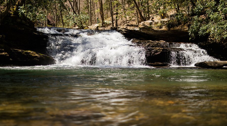 Kumbrabow State Forest