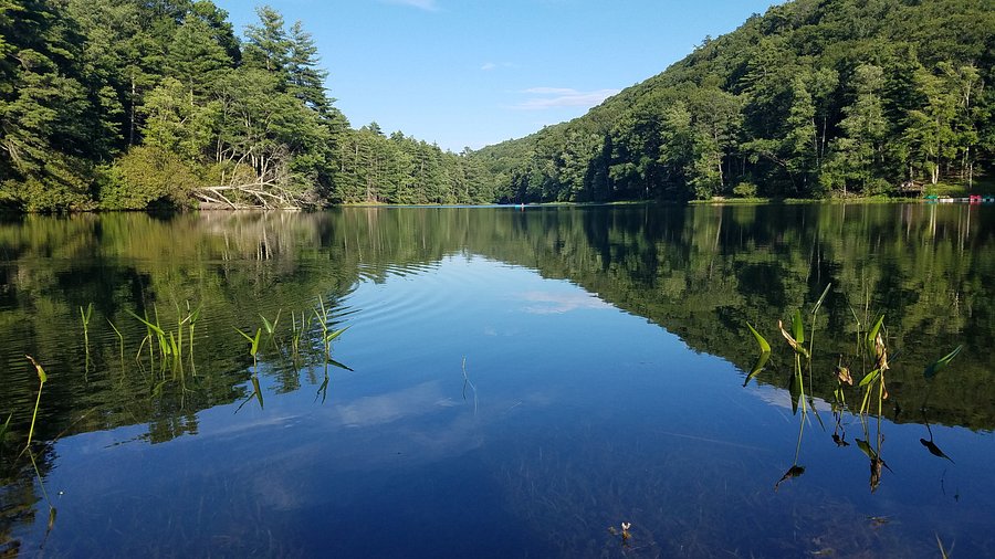 Watoga State Park
